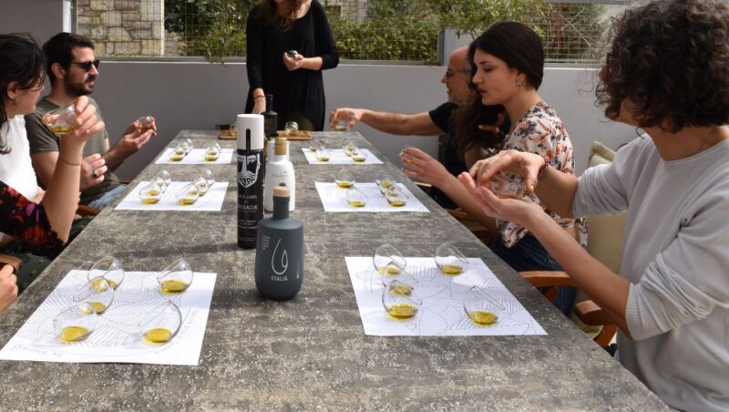 Messenia: Olive Oil Experience-Full Tour, Food Pairing, Dinner - Olive Grove-Museum Tour Highlights