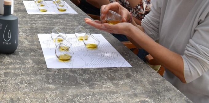 Messenia: Olive Oil Experience-Full Tour, Food Pairing, Dinner - Frequently Asked Questions
