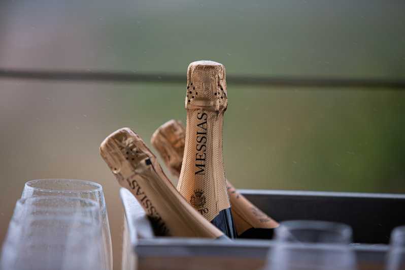 Messias: Cellar Tour + Sparkling Wine Tasting & Cheese Board - Pricing and Reservation