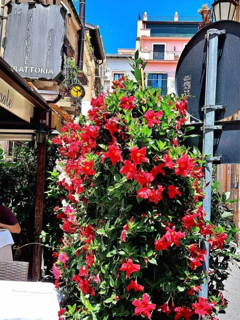 Messina, Savoca, Taormina, and Castelmola - Customer Reviews and Meeting Point
