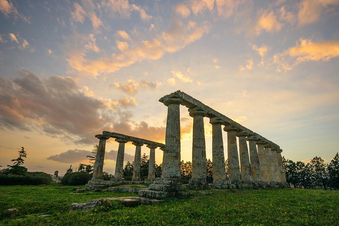 Metaponto: Private Guided Tour to the Archeological Site - Quick Points