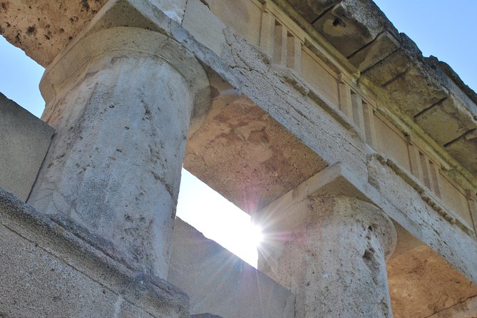 Metaponto: Private Guided Tour to the Archeological Site - Unraveling the Pantanello Site