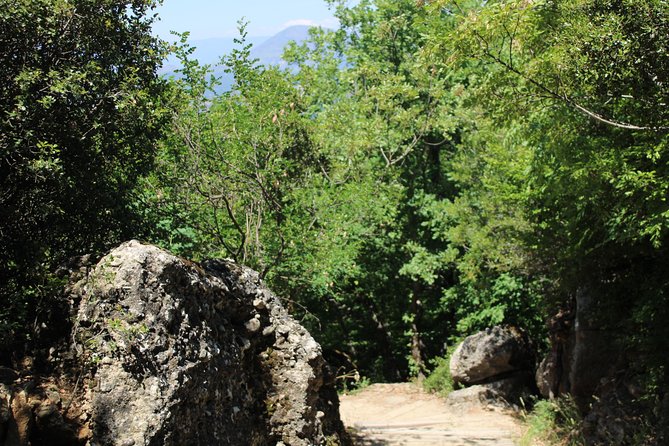 Meteora Day Trip From Thessaloniki - Accessibility and Restrictions