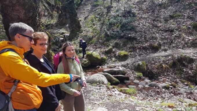 Meteora: Easy Hiking Adventure - Historical Context