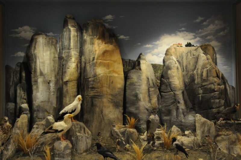 Meteora: Natural History Museum and Mushroom Museum Tour - Experience Highlights