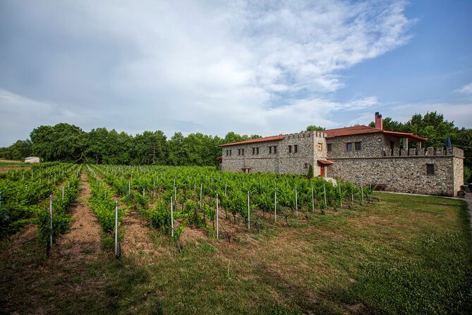 Meteora Private Guided Wine Tasting Experience From Kalampaka - Booking and Confirmation