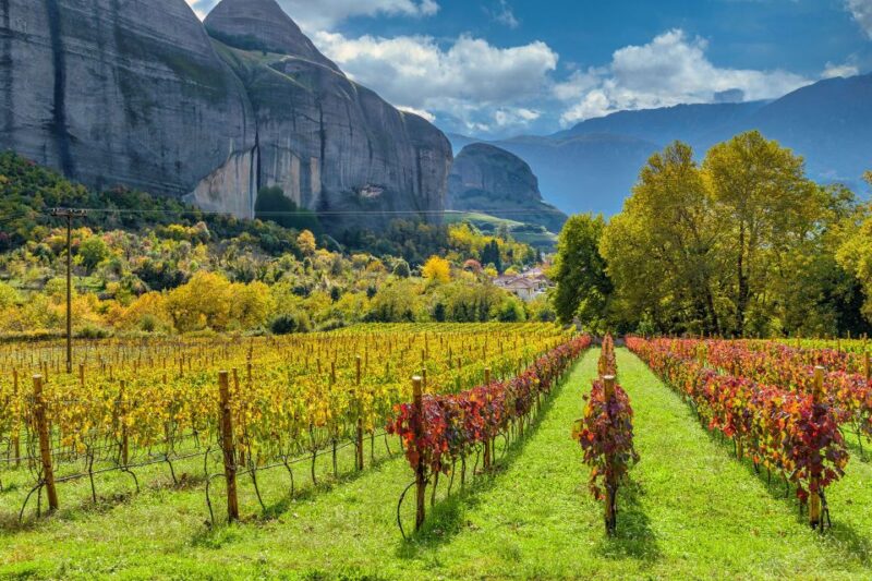 Meteora Private Wine Tasting Experience - Winery and Vineyards