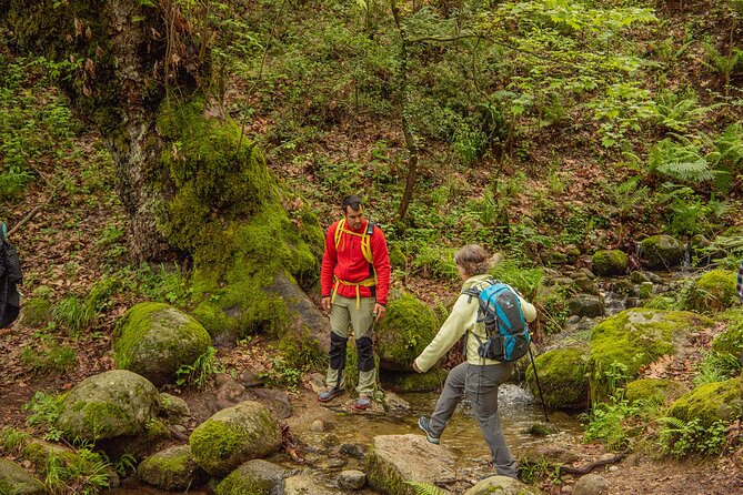 Meteora Small Group Hiking Tour With Transfer and Monastery Visit - Group Size