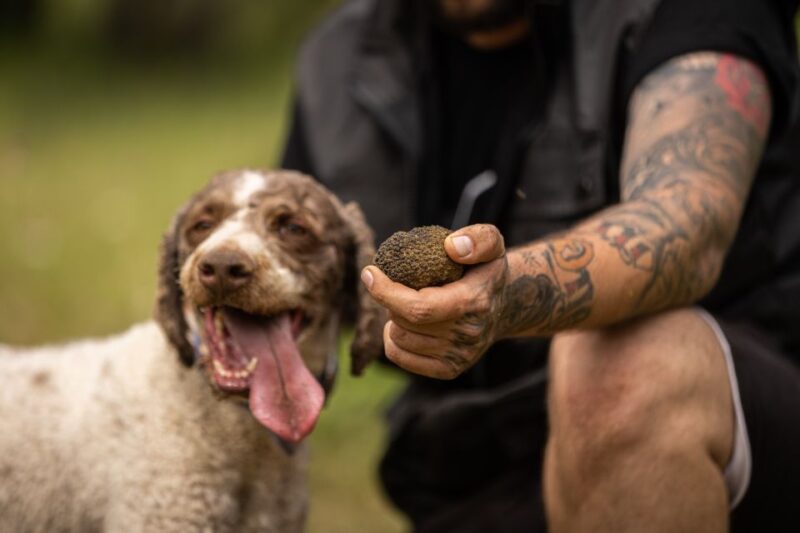 Meteora Truffle Hunting Experience With Lunch & Museum Visit - Truffle Tasting and Lunch