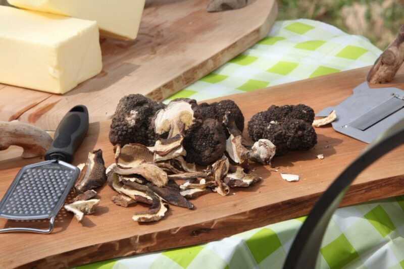 Meteora Truffle Hunting Experience With Lunch & Museum Visit - Mushroom Museum Exploration