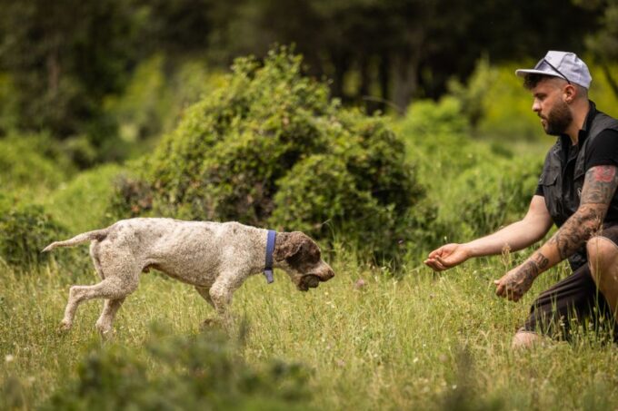 Meteora Truffle Hunting Experience With Lunch & Museum Visit - Mushroom Product Tasting