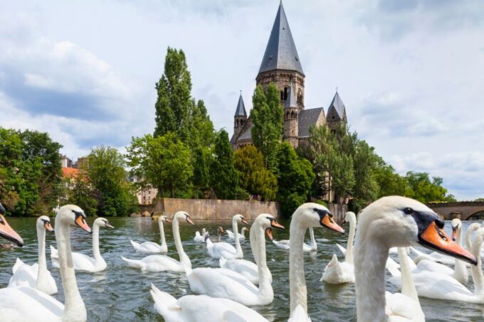 Metz: First Discovery Walk and Reading Walking Tour - Important Reminders