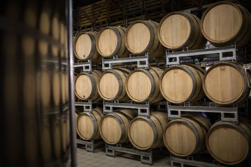 Meunier Experience - English Tour - Champagne Passy-Grigny - Key Points
