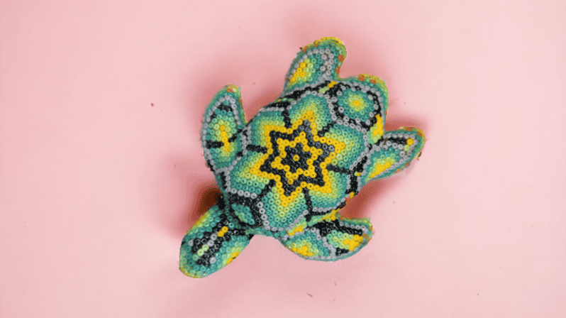 Mexican Art Experience - Key Points