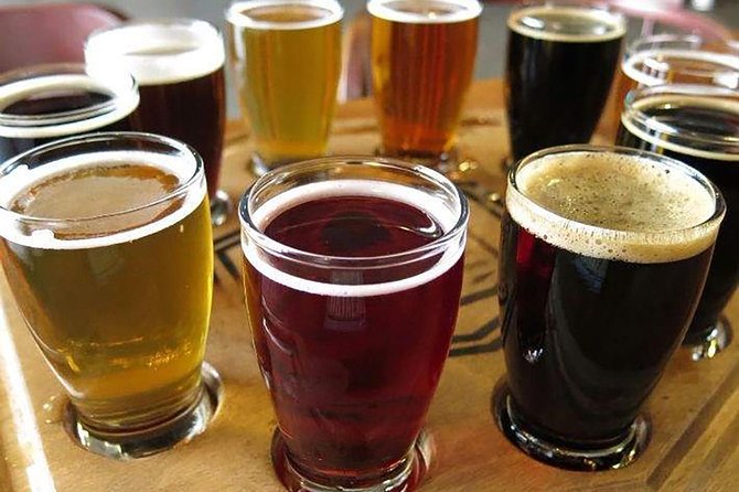 Mexican Craft Beer Tasting Experience - Participation Guidelines