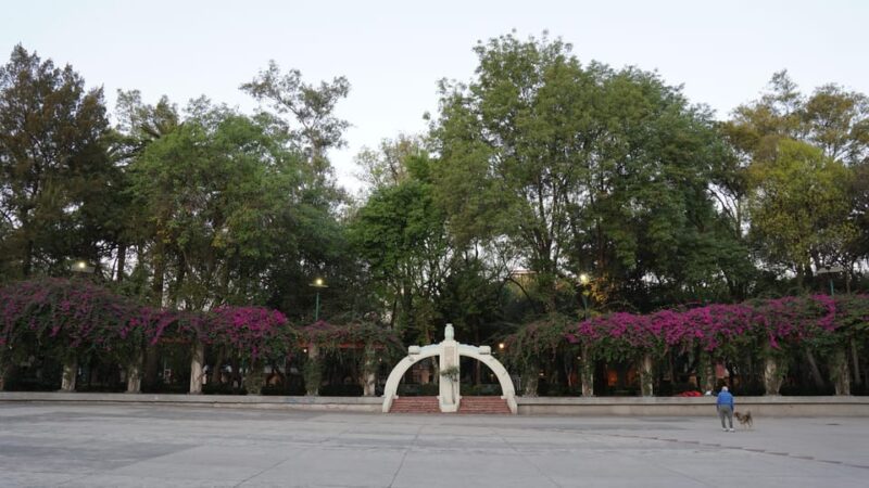 Mexico City: 19 City Highlights Bicycle Tour - Experience and Reviews