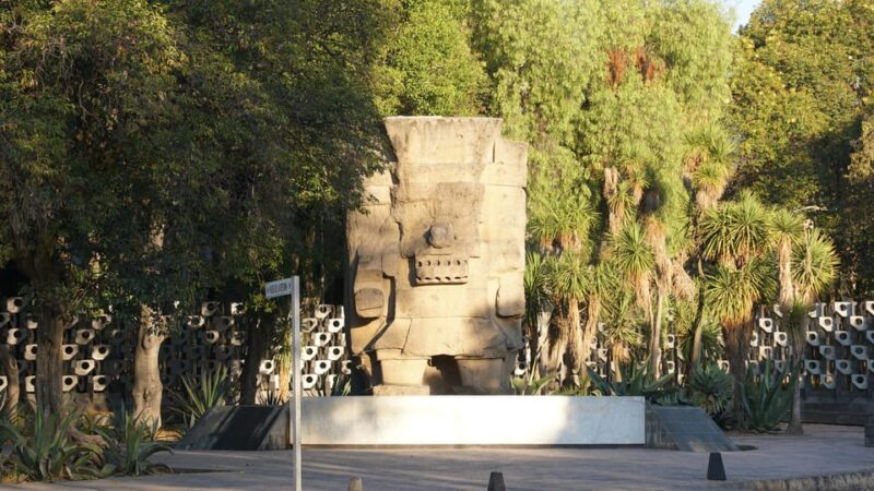 Mexico City: 19 City Highlights Bicycle Tour - Inclusions and Requirements