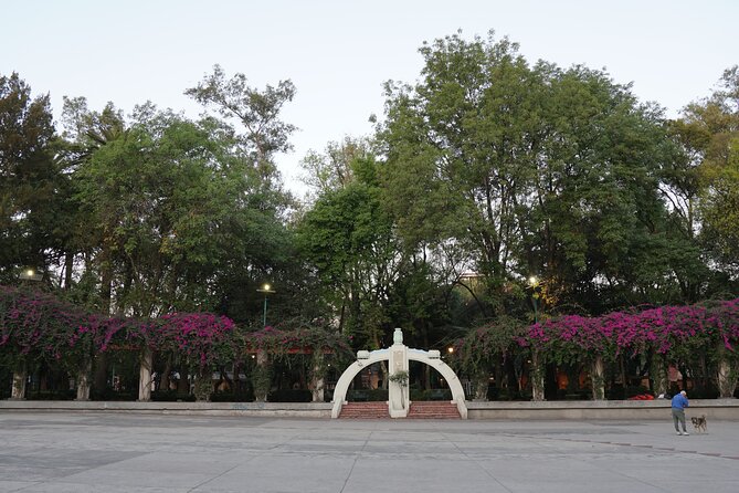 Mexico City: 19 City Highlights Bicycle Tour - Exploring Mexico City by Bicycle