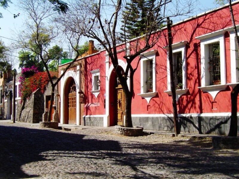 Mexico City: Bazaar Saturday, Convent of Carmen & San Angel - Inclusions