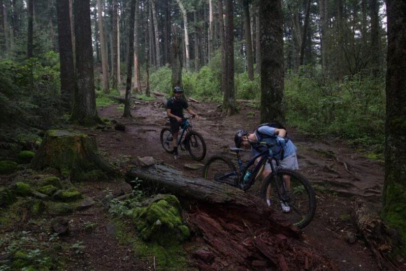 Mexico City: Bike Ride in the Lions Desert - Key Points