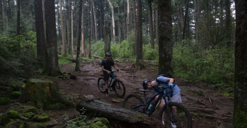 Mexico City: Bike Ride in the Lions Desert - Itinerary Highlights