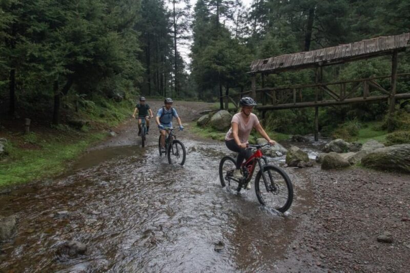 Mexico City: Bike Ride in the Lions Desert - Transportation
