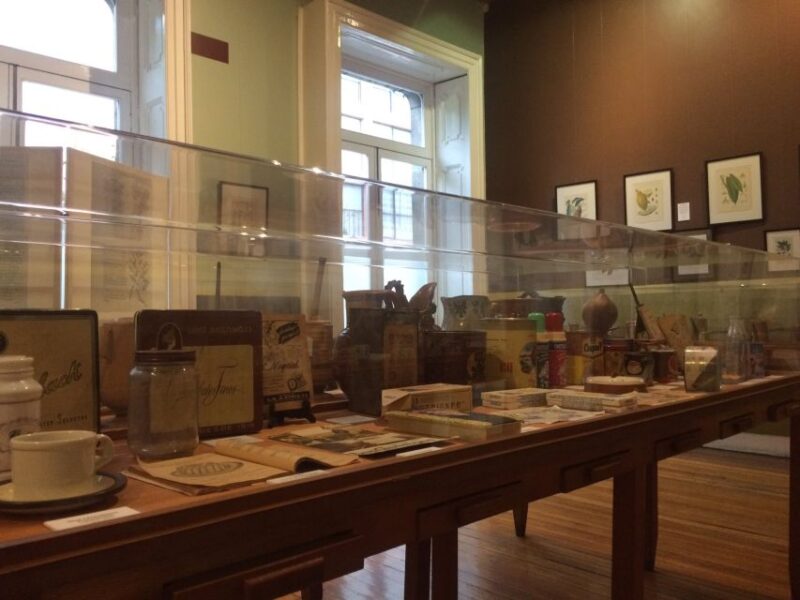 Mexico City: Chocolate Museum and Capital Bus Tour - Activity Details