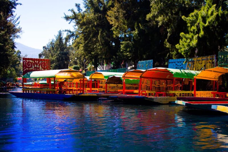 Mexico City: Coyoacán and Xochimilco - Itinerary Details