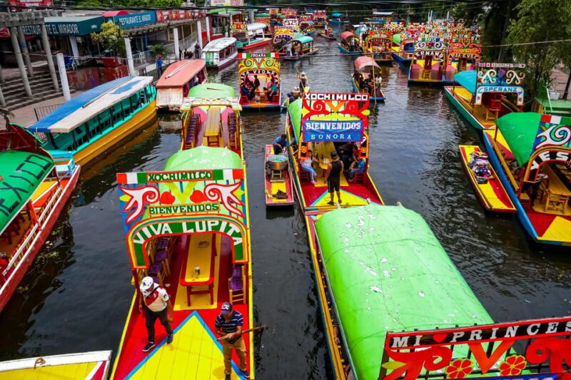Mexico City: Coyoacán and Xochimilco - Guided Experience