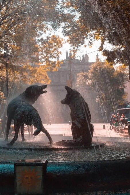 Mexico City: Coyoacán and Xochimilco - Cruising Xochimilco