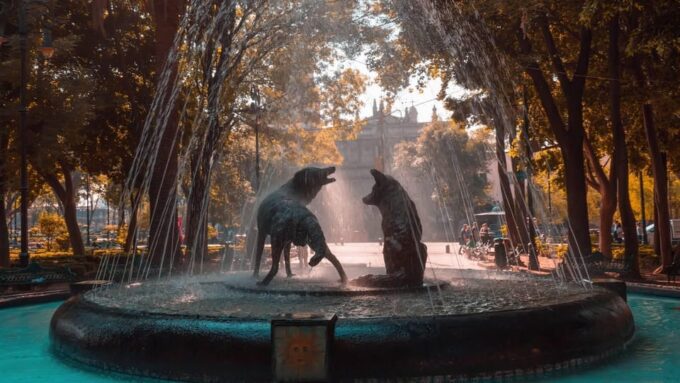 Mexico City: Coyoacán and Xochimilco - Visiting UNAM Central Library