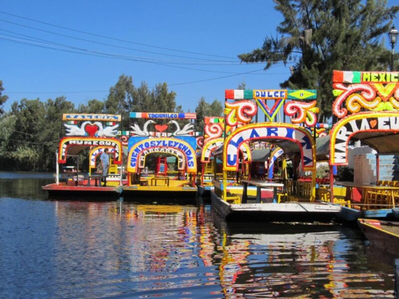 Mexico City: Coyoacan - UNAM - Xochimilco - Transport and Inclusions