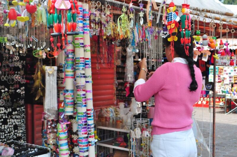 Mexico City: Coyoacan - UNAM - Xochimilco - Participant Information