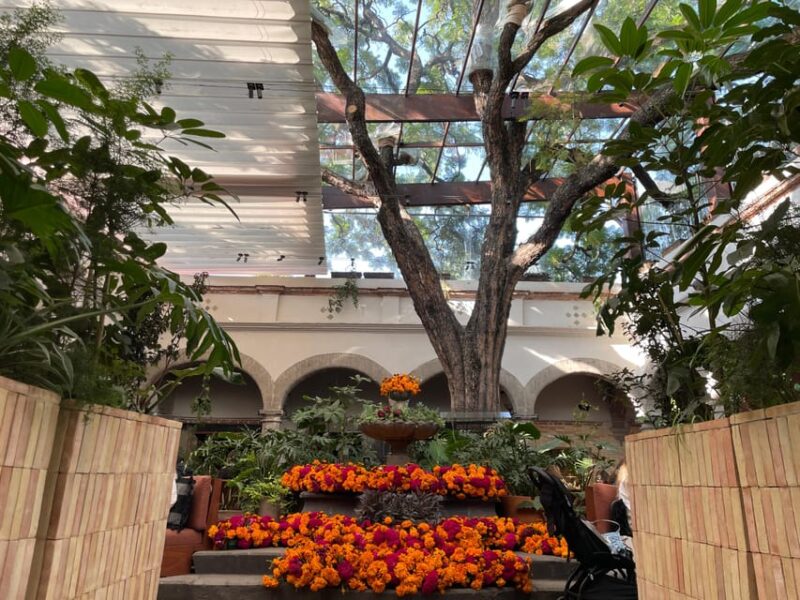 Mexico City: Day of the Dead Experience in San Angel - Important Information