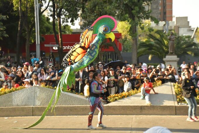 Mexico City: Day of the Dead Guided Tour - Drop-off Locations