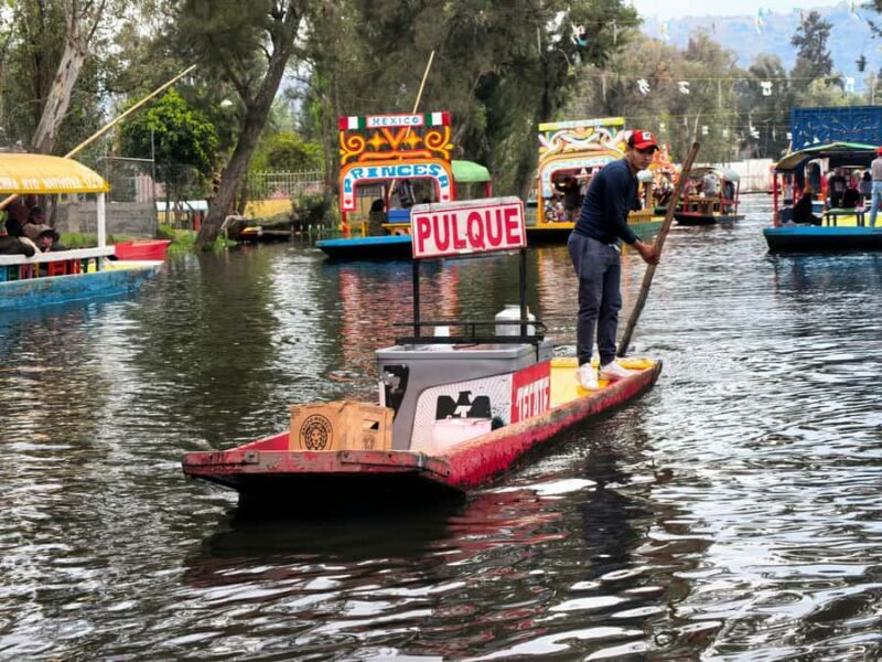 Mexico City: Expert-Guided Boat Tour with Lunch and Drinks - Final Thoughts: Who Should Consider This Tour?