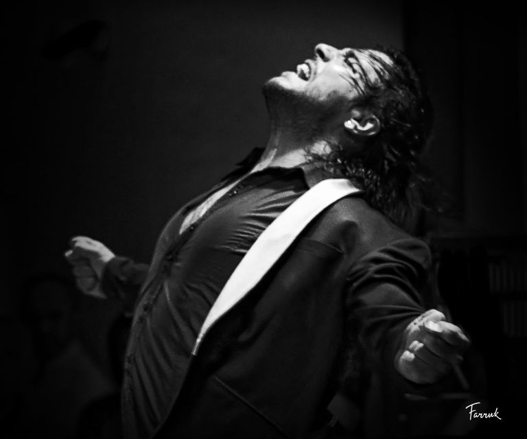 Mexico City: Flamenco Tablao Live Show & Dinner - Key Points