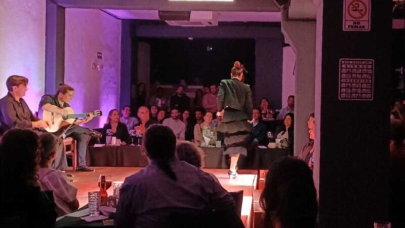 Mexico City: Flamenco Tablao Live Show & Dinner - Dining Experience