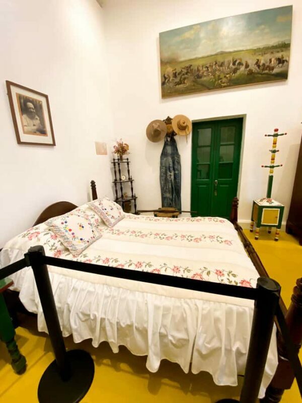 Mexico City: Frida Kahlo Museum or Casa Kahlo Entry - The Value of the Ticket and Additional Access