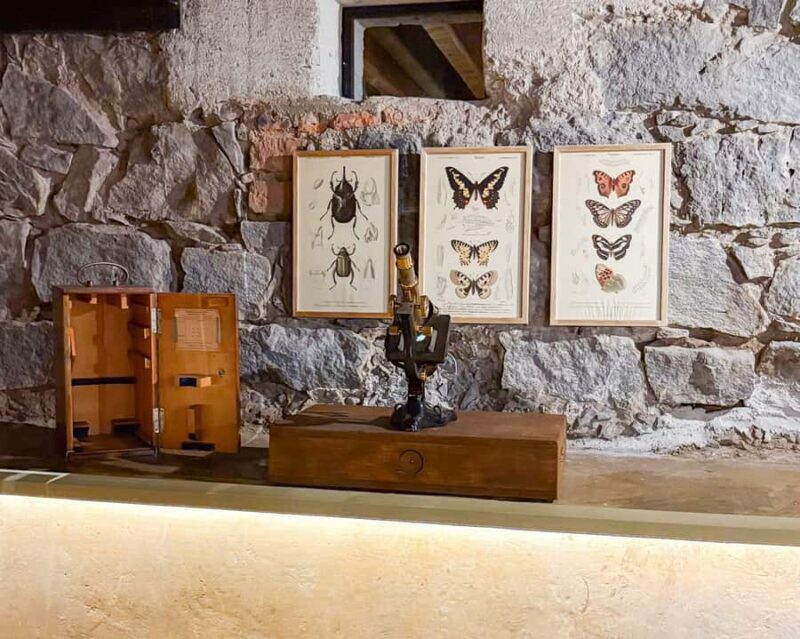Mexico City: Frida Kahlo Museum or Casa Kahlo Entry - Final Thoughts: Who Will Love This Tour?