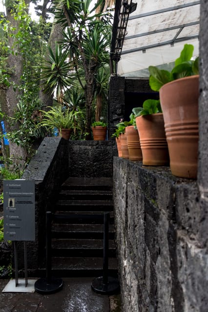 Mexico City: Frida Kahlo Museum Ticket With Digital Guide - Frequently Asked Questions