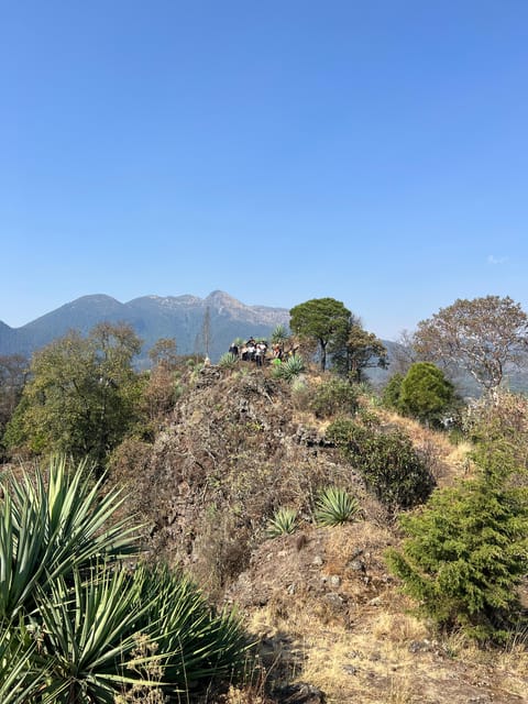 Mexico City Hiking Tour to the Extinct Volcano Xitle - Key Points