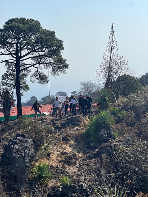 Mexico City Hiking Tour to the Extinct Volcano Xitle - Inclusions