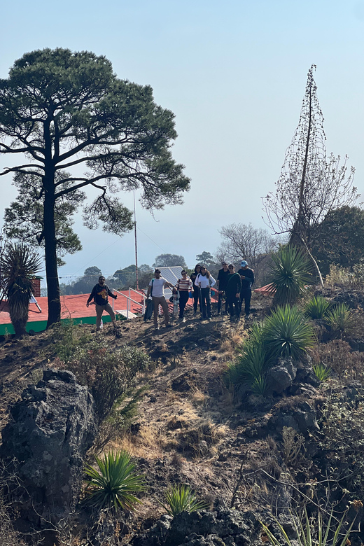 Mexico City Hiking Tour to the Extinct Volcano Xitle - Booking Information