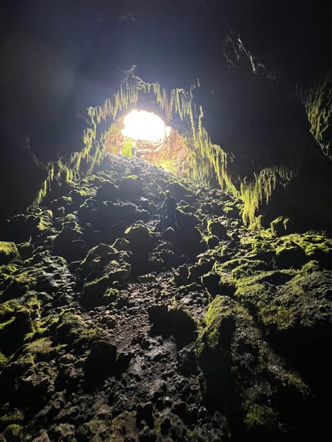 Mexico City Hiking Tour to the Extinct Volcano Xitle - Getting to the Volcano