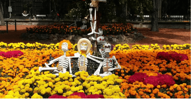 Mexico City: Hipster Taco Land Bike Tour - Booking Information