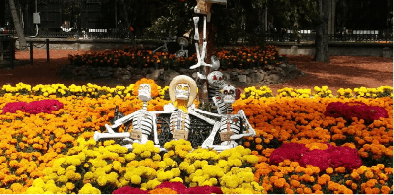 Mexico City: Hipster Taco Land Bike Tour - Experience Highlights