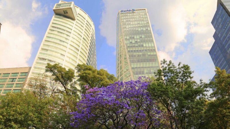 Mexico City: Hop-on Hop-off City Tour by Turibus 1-Day Pass - Basilica Circuit