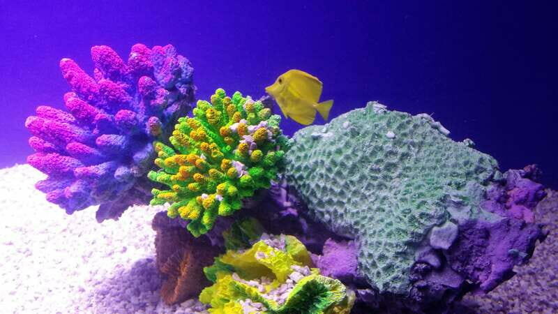 Mexico City: Inbursa Aquarium optional Round trip transfer - Discovering Latin America’s Only Underground Aquarium