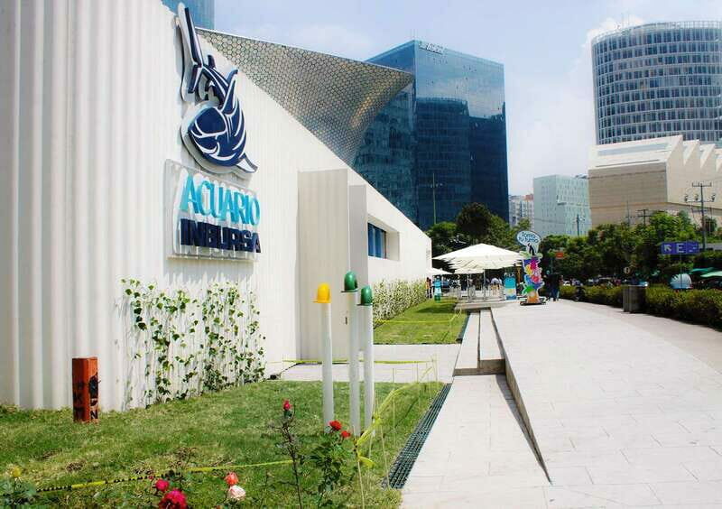 Mexico City: Inbursa Aquarium optional Round trip transfer - The Experience: What to Expect on This Tour